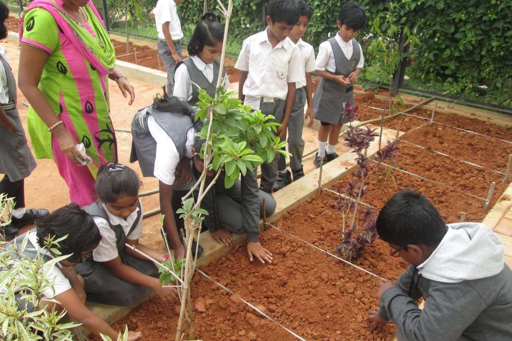 Gardening